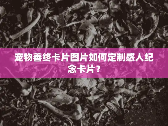 宠物善终卡片图片如何定制感人纪念卡片？
