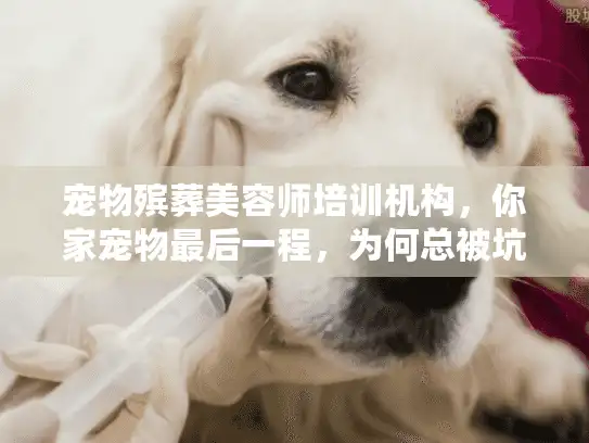 宠物殡葬美容师培训机构，你家宠物最后一程，为何总被坑？专家揭秘避坑术
