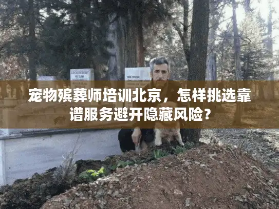 宠物殡葬师培训北京，怎样挑选靠谱服务避开隐藏风险？