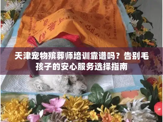 天津宠物殡葬师培训靠谱吗？告别毛孩子的安心服务选择指南
