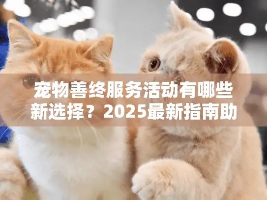 宠物善终服务活动有哪些新选择？2025最新指南助你温暖告别