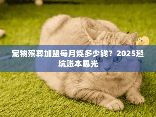宠物殡葬加盟每月烧多少钱？2025避坑账本曝光