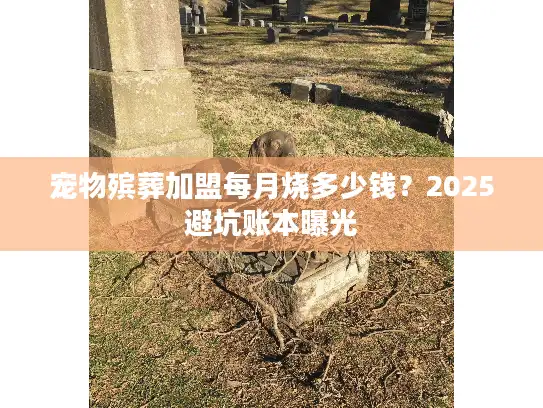 宠物殡葬加盟每月烧多少钱？2025避坑账本曝光