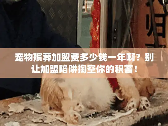 宠物殡葬加盟费多少钱一年啊？别让加盟陷阱掏空你的积蓄！