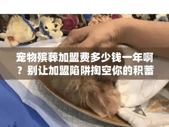 宠物殡葬加盟费多少钱一年啊？别让加盟陷阱掏空你的积蓄！