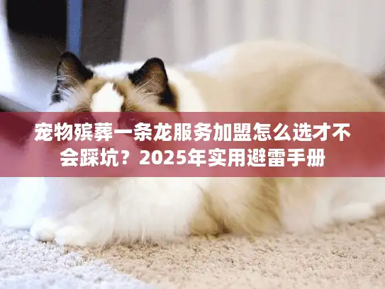 宠物殡葬一条龙服务加盟怎么选才不会踩坑？2025年实用避雷手册