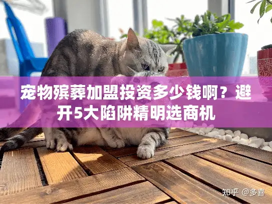 宠物殡葬加盟投资多少钱啊？避开5大陷阱精明选商机