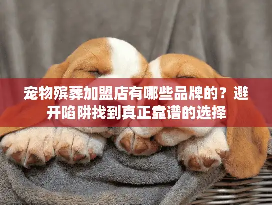 宠物殡葬加盟店有哪些品牌的？避开陷阱找到真正靠谱的选择