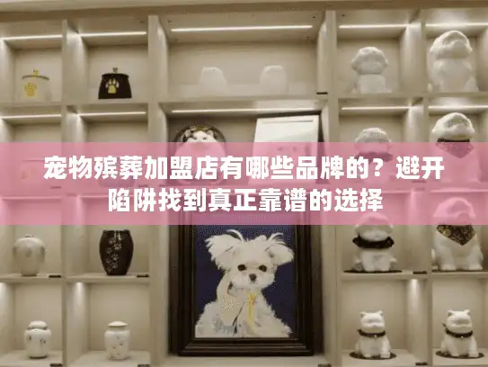 宠物殡葬加盟店有哪些品牌的？避开陷阱找到真正靠谱的选择