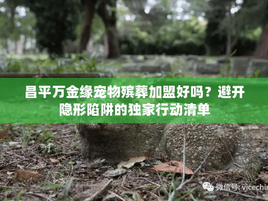 昌平万金缘宠物殡葬加盟好吗？避开隐形陷阱的独家行动清单