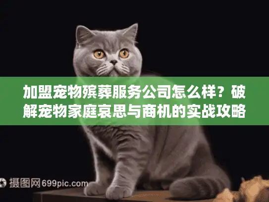 加盟宠物殡葬服务公司怎么样？破解宠物家庭哀思与商机的实战攻略