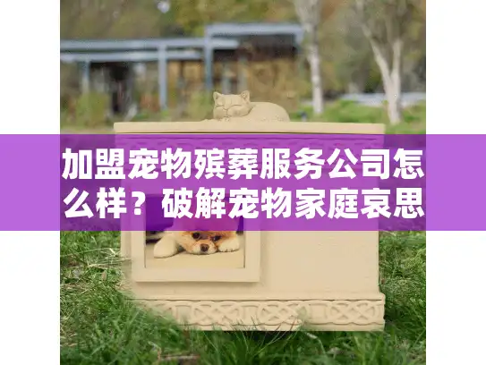 加盟宠物殡葬服务公司怎么样？破解宠物家庭哀思与商机的实战攻略