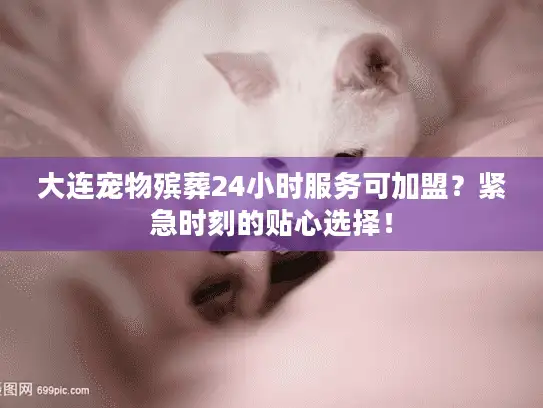 大连宠物殡葬24小时服务可加盟？紧急时刻的贴心选择！