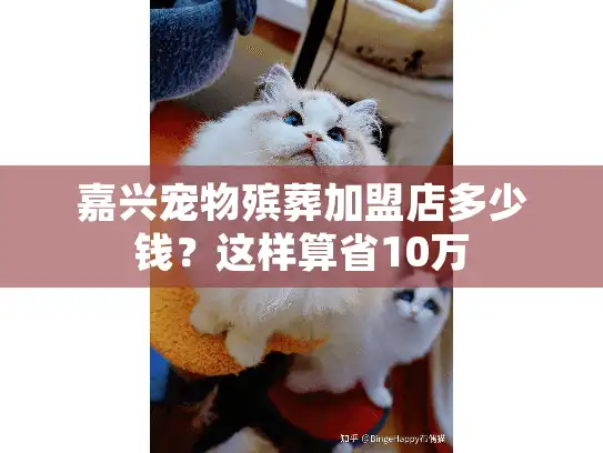 嘉兴宠物殡葬加盟店多少钱？这样算省10万