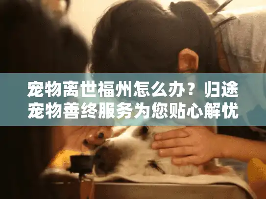 宠物离世福州怎么办？归途宠物善终服务为您贴心解忧