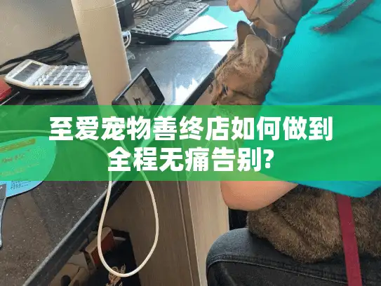 至爱宠物善终店如何做到全程无痛告别?