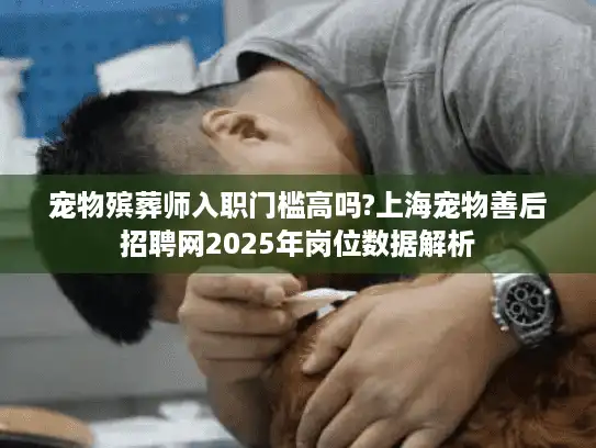 宠物殡葬师入职门槛高吗?上海宠物善后招聘网2025年岗位数据解析