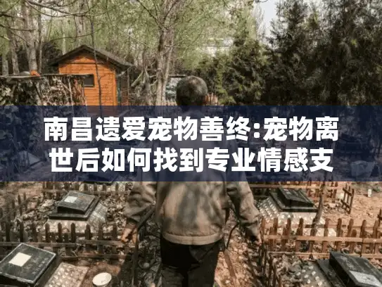 南昌遗爱宠物善终:宠物离世后如何找到专业情感支持?