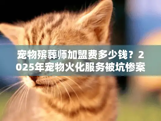 宠物殡葬师加盟费多少钱？2025年宠物火化服务被坑惨案与省钱秘诀
