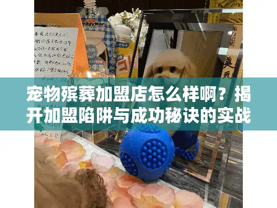 宠物殡葬加盟店怎么样啊？揭开加盟陷阱与成功秘诀的实战手册