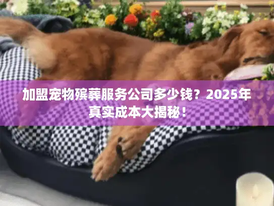 加盟宠物殡葬服务公司多少钱？2025年真实成本大揭秘！