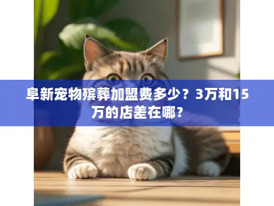 阜新宠物殡葬加盟费多少？3万和15万的店差在哪？