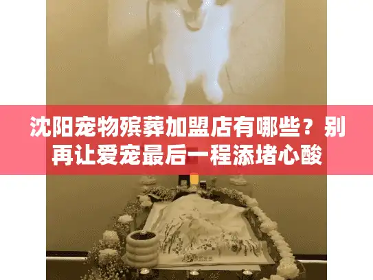 沈阳宠物殡葬加盟店有哪些？别再让爱宠最后一程添堵心酸