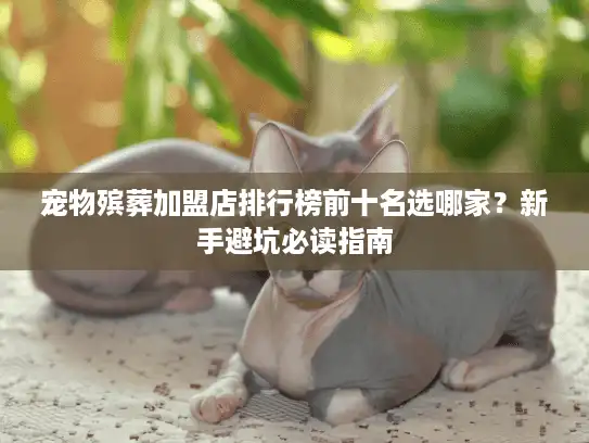 宠物殡葬加盟店排行榜前十名选哪家？新手避坑必读指南