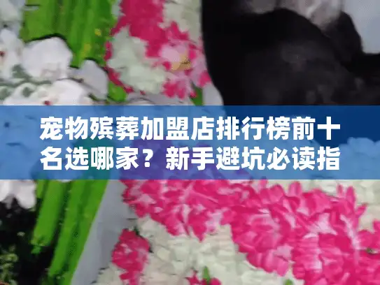 宠物殡葬加盟店排行榜前十名选哪家？新手避坑必读指南