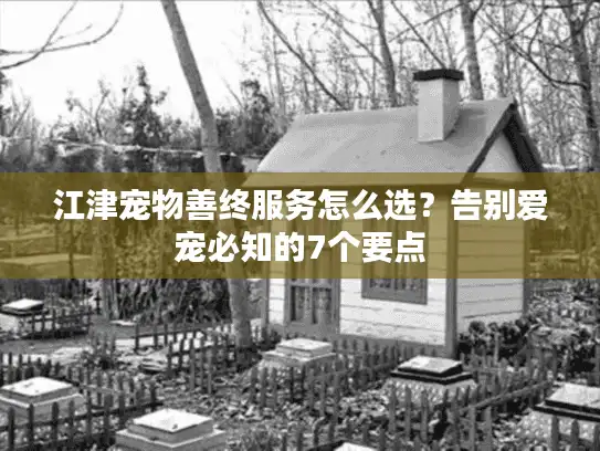 江津宠物善终服务怎么选？告别爱宠必知的7个要点