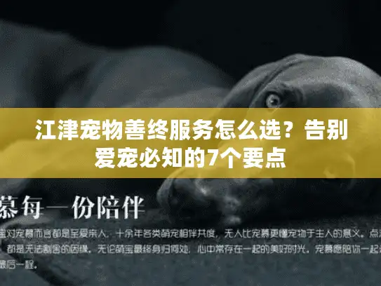 江津宠物善终服务怎么选？告别爱宠必知的7个要点