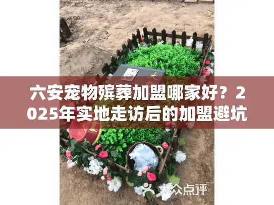 六安宠物殡葬加盟哪家好？2025年实地走访后的加盟避坑指南