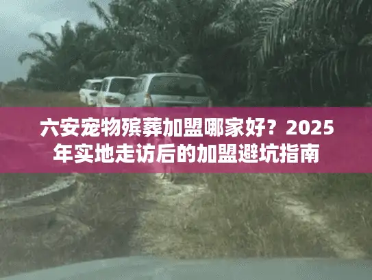 六安宠物殡葬加盟哪家好？2025年实地走访后的加盟避坑指南