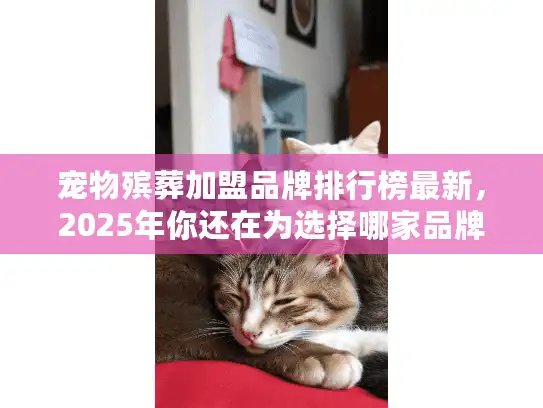 宠物殡葬加盟品牌排行榜最新，2025年你还在为选择哪家品牌头疼吗？