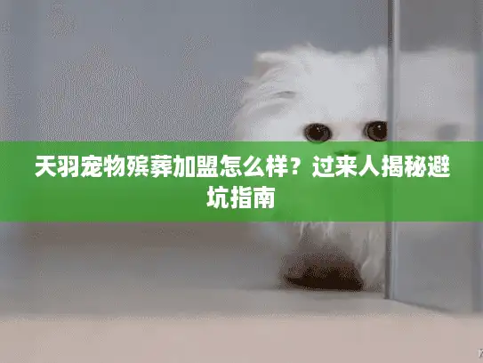 天羽宠物殡葬加盟怎么样？过来人揭秘避坑指南