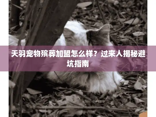 天羽宠物殡葬加盟怎么样？过来人揭秘避坑指南