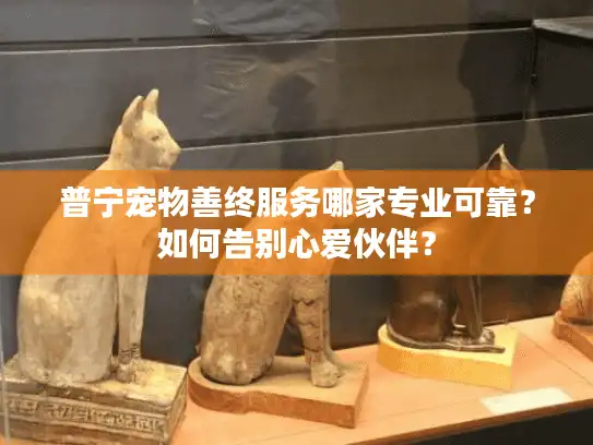 普宁宠物善终服务哪家专业可靠？如何告别心爱伙伴？