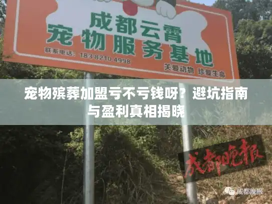 宠物殡葬加盟亏不亏钱呀？避坑指南与盈利真相揭晓