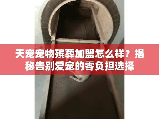 天宠宠物殡葬加盟怎么样？揭秘告别爱宠的零负担选择