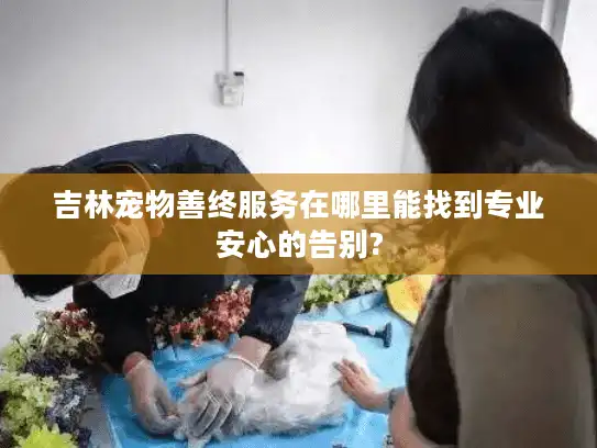 吉林宠物善终服务在哪里能找到专业安心的告别?