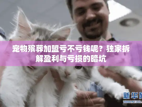 宠物殡葬加盟亏不亏钱呢？独家拆解盈利与亏损的暗坑
