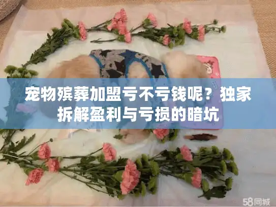 宠物殡葬加盟亏不亏钱呢？独家拆解盈利与亏损的暗坑