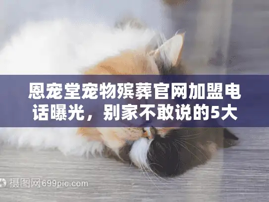 恩宠堂宠物殡葬官网加盟电话曝光，别家不敢说的5大服务盲区？