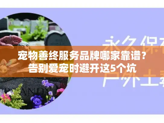 宠物善终服务品牌哪家靠谱？告别爱宠时避开这5个坑