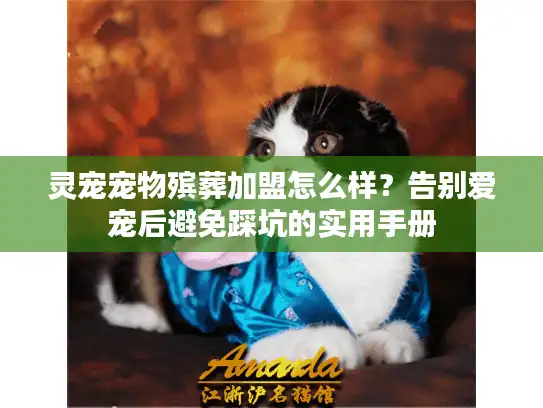 灵宠宠物殡葬加盟怎么样？告别爱宠后避免踩坑的实用手册