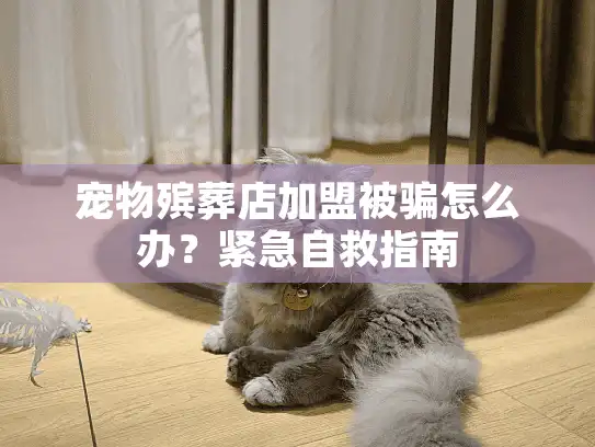 宠物殡葬店加盟被骗怎么办？紧急自救指南