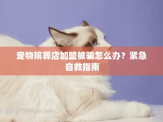 宠物殡葬店加盟被骗怎么办？紧急自救指南