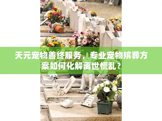 天元宠物善终服务，专业宠物殡葬方案如何化解离世慌乱？