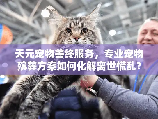 天元宠物善终服务，专业宠物殡葬方案如何化解离世慌乱？
