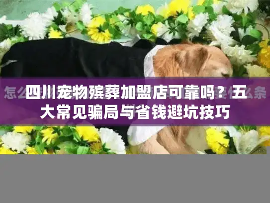 四川宠物殡葬加盟店可靠吗？五大常见骗局与省钱避坑技巧